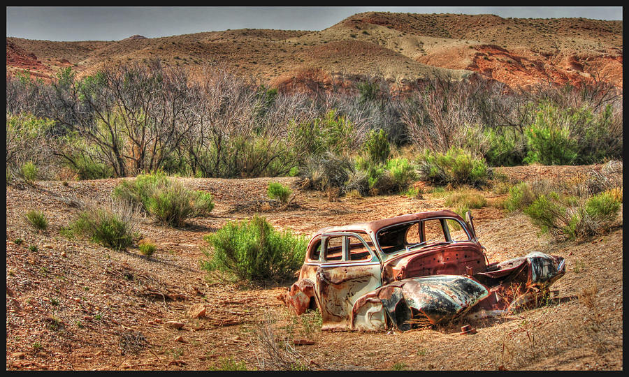 Landscape Photograph - Old Timer by Stellina Giannitsi