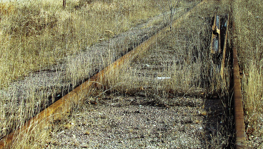 Old Train Tracks No.1 Photograph by Ms Judi