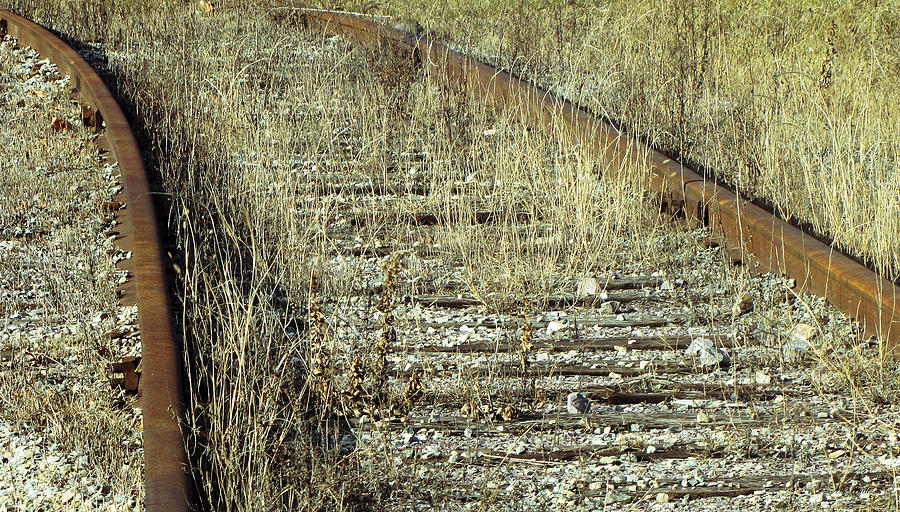 Old Train Tracks No.2 Photograph by Ms Judi