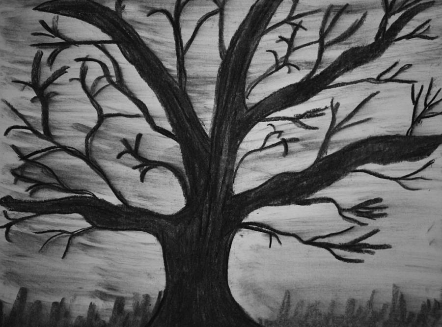 Old tree with no leaves Drawing by Mike M Burke