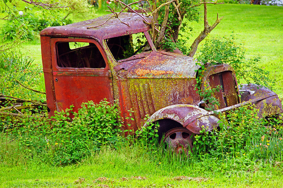 Old Truck in the Garden Photograph by Randy Harris - Fine Art America