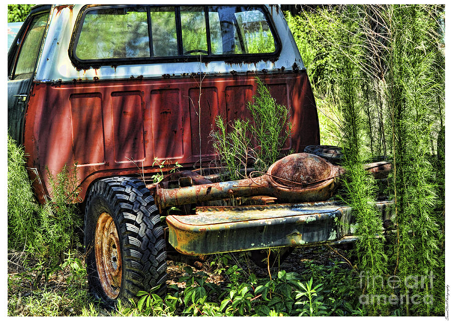 Old Truck Photograph by Susan Cliett