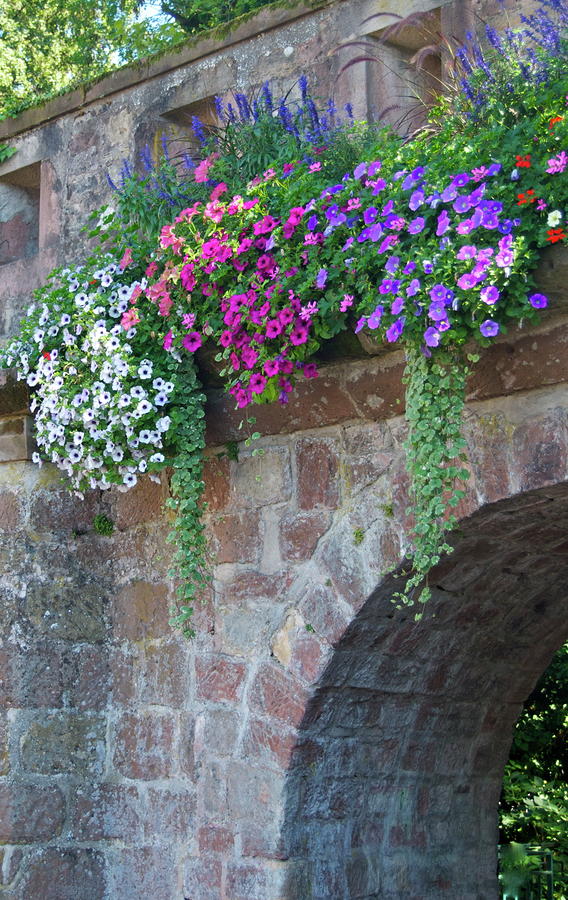 Old Village Wall Photograph by Debbie Karnes