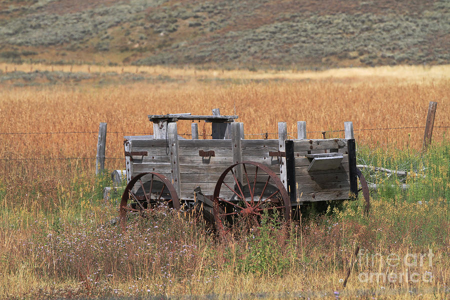 Old Wagon Photograph by Edward R Wisell