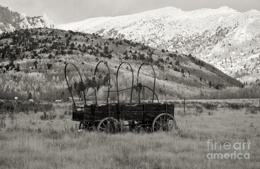 Old Wagon Photograph by Ellen Heaverlo