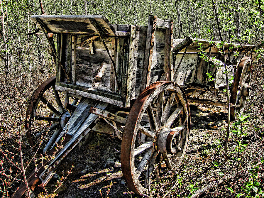 Old Wagon Photograph by Fred Denner