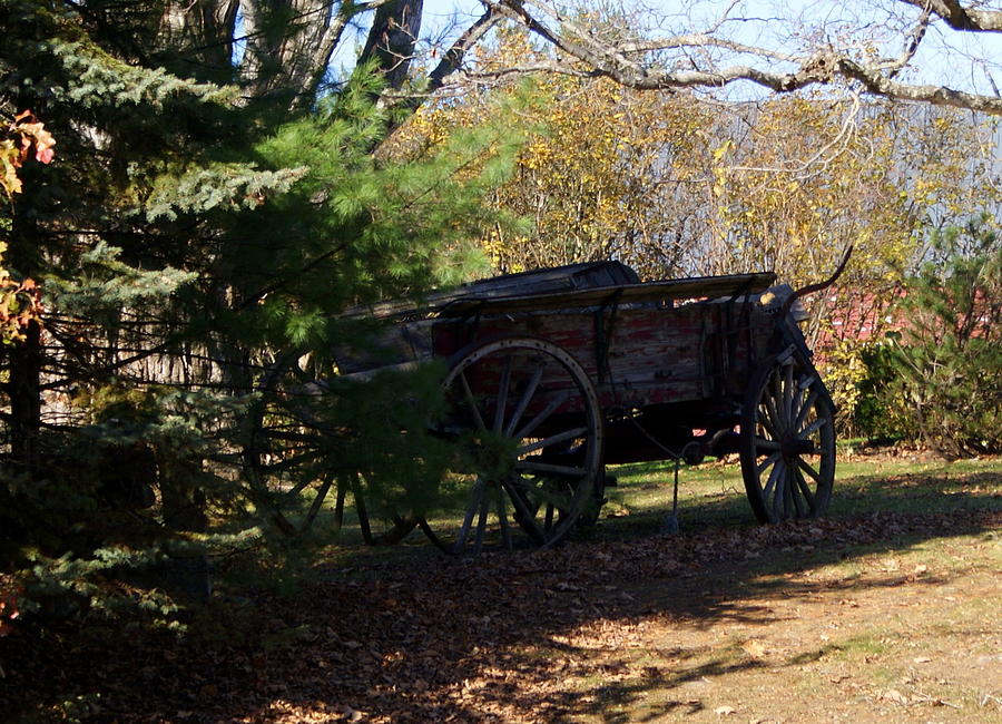 Old Wagon Photograph by Lois Lepisto