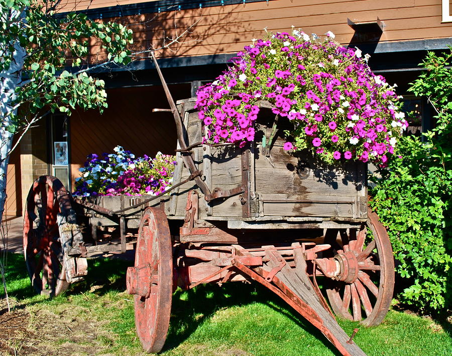 Old Wagon Wheel with Flowers Photograph by Dorota Nowak