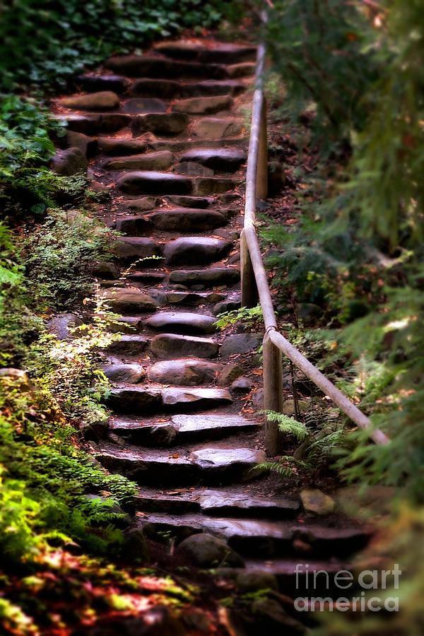 Old Wet Stone Steps Photograph by Henrik Lehnerer