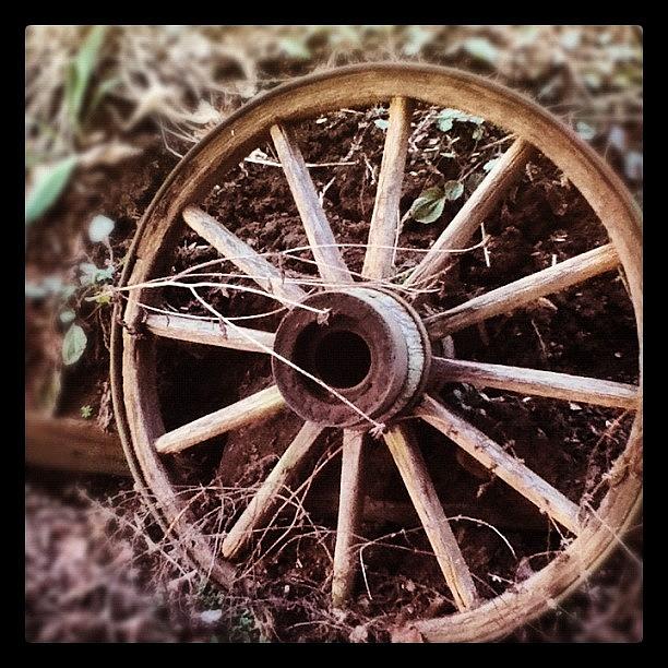 Spring Photograph - Old Wheel by Jenny OHara