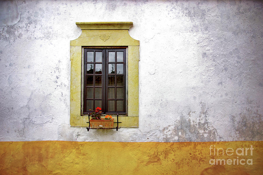 Flower Photograph - Old Window by Carlos Caetano