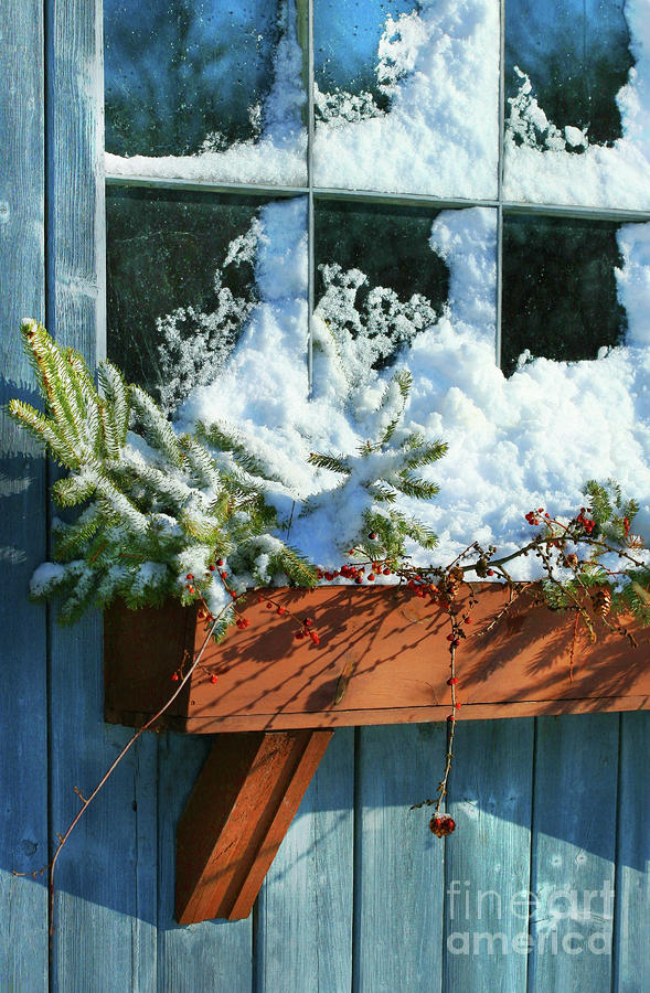 Christmas Photograph - Old window in winter by Sandra Cunningham