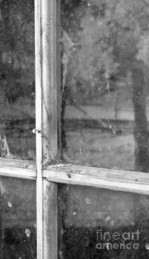 Old Window Reflection Photograph by Sandra Bronstein