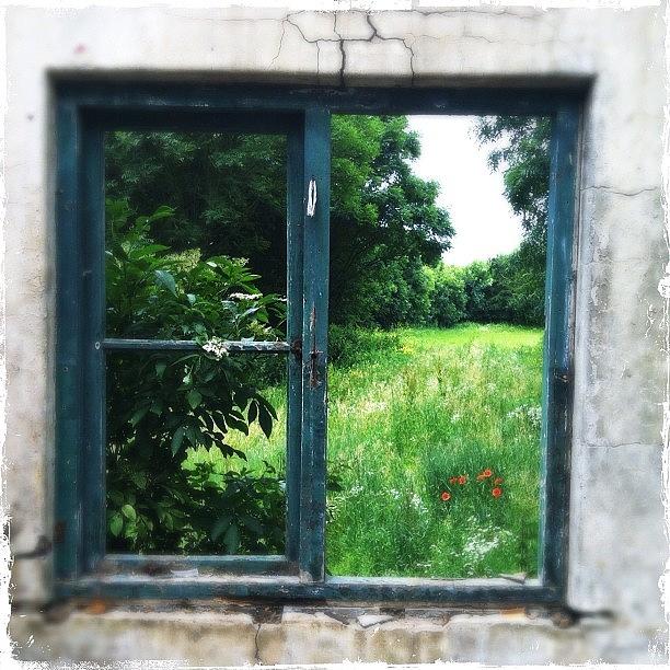 Old Window View Photograph by Henk Goossens