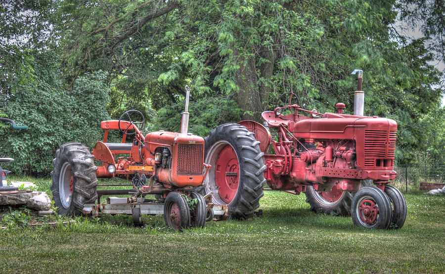 Old Workhorses Photograph by J Laughlin