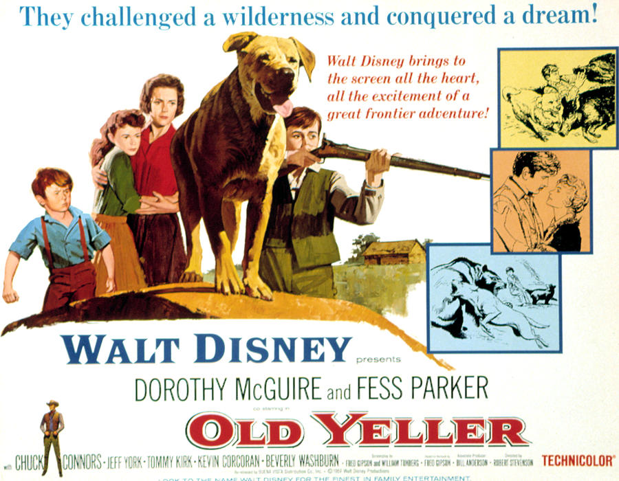 Movie Photograph - Old Yeller, Kevin Corcoran, Beverly by Everett