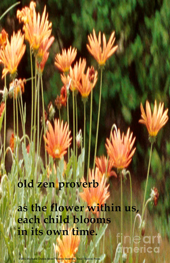 Poem Photograph - Old Zen Proverb by Richard Donin Poem Photograph - Old Zen Proverb by Richard Donin