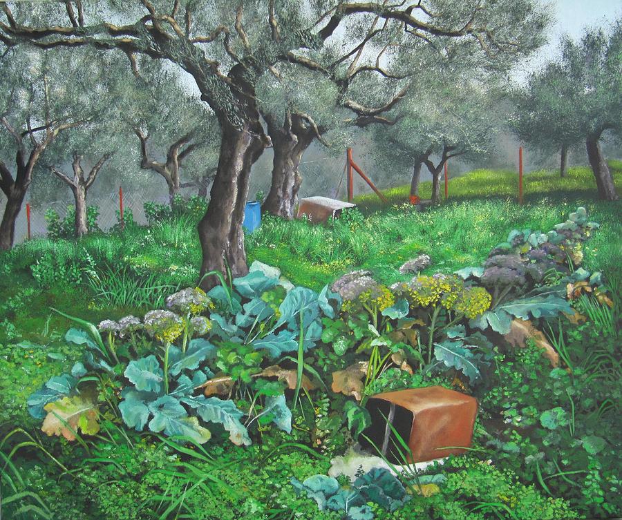 Cauliflower Painting - Olive Grove With Vegetable Garden by Anna Poelstra Traga