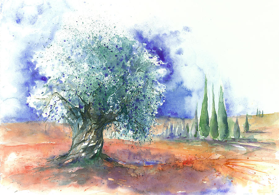 Summer Painting - Olive Tree by Jitka Krause