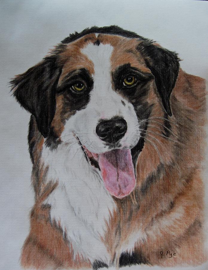 Dog Drawing - Oliver by Joan Pye