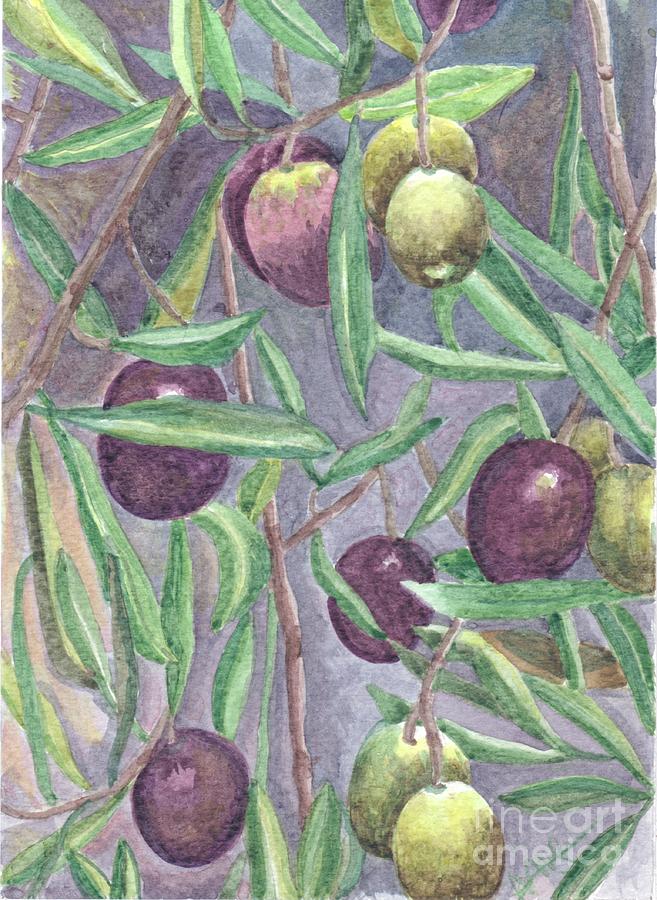 Olives Painting by Acqu Art - Fine Art America