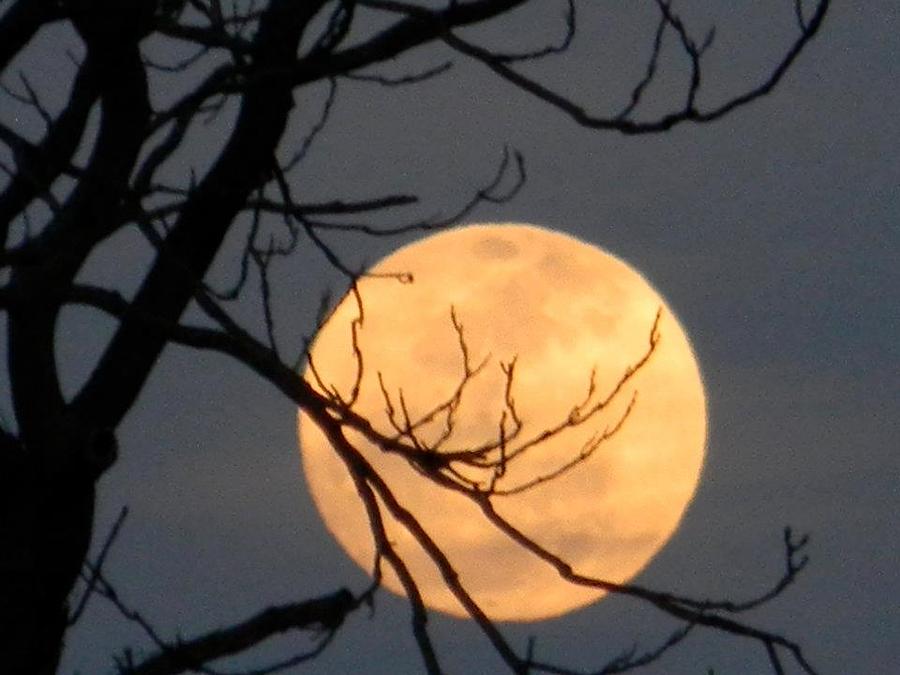 Ominous Full Moon Photograph by Eric Barich