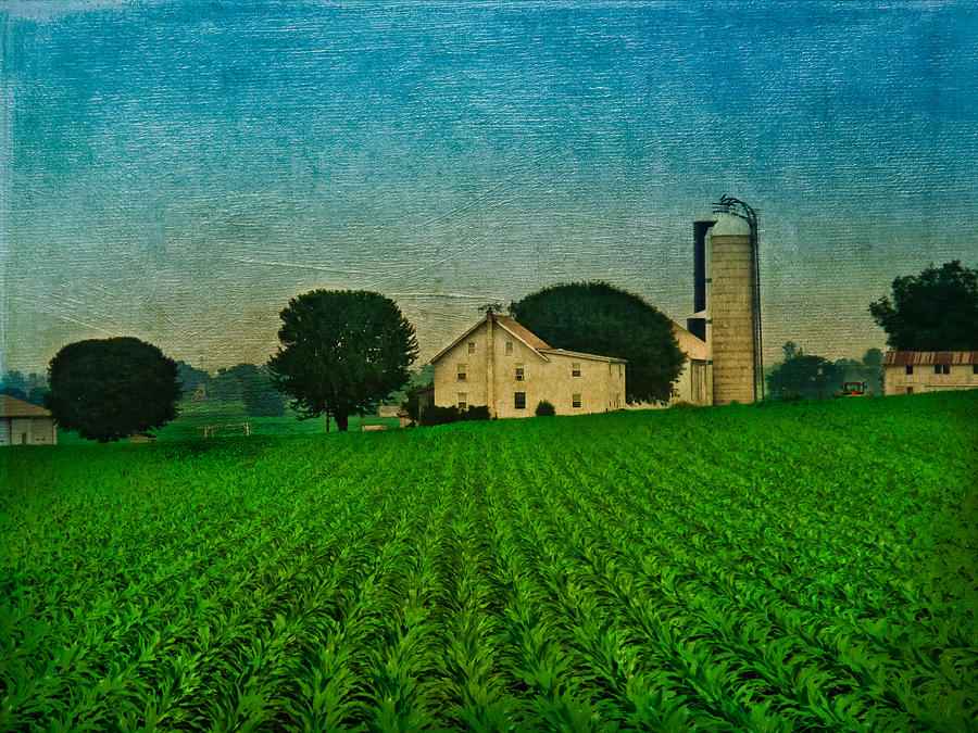 On Amish Land Photograph by Dara Dulitz - Fine Art America