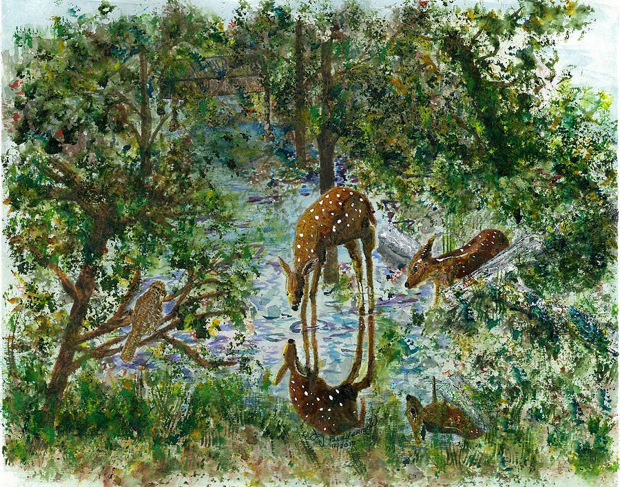 Deer Painting - On Looker by Joy Braverman