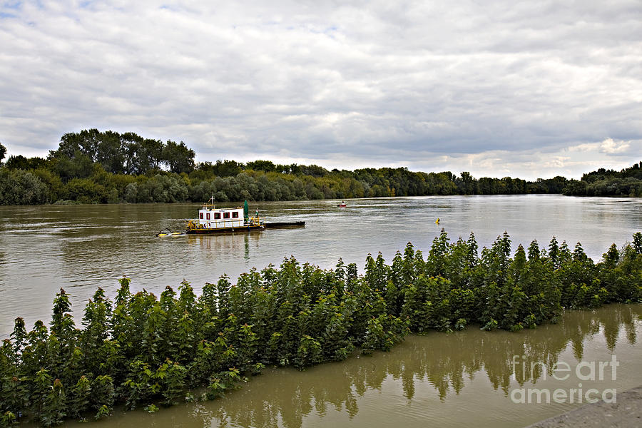 Transportation Photograph - On the Danube by Madeline Ellis