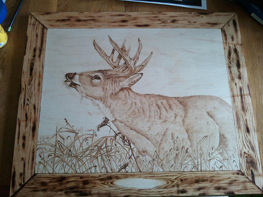 Deer Pyrography - On The Hunt Whitetail Buck by Angel Abbs-Portice
