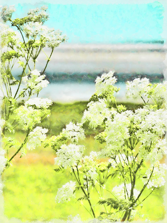 On the Mudflats of Pegwell Bay Digital Art by Steve Taylor
