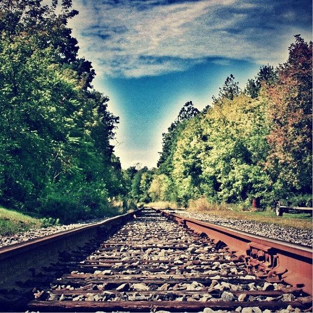 Nature Photograph - On The Right Track In Laceyville, Pa by John Robinson
