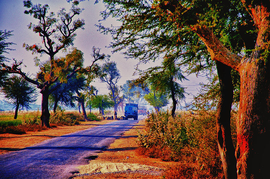 On the Road to Jaipur Photograph by Rick Bragan