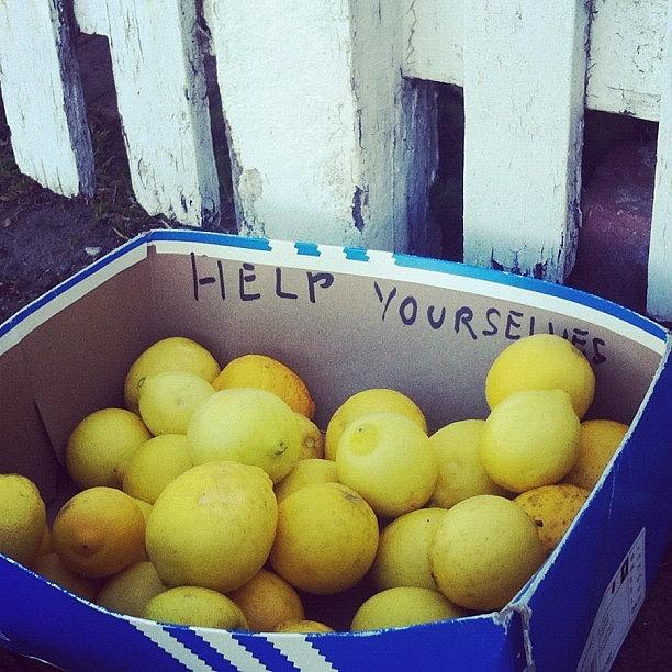 On The Sidewalk, Free Lemons In A Photograph by Raam Dev