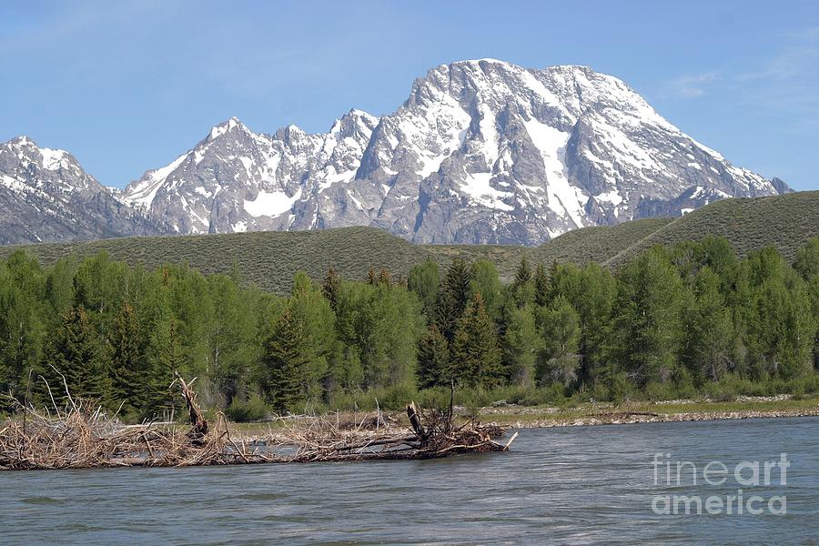 On The Snake River Photograph by Living Color Photography Lorraine Lynch