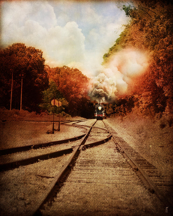 Landscape Photograph - On The Tracks by Jai Johnson