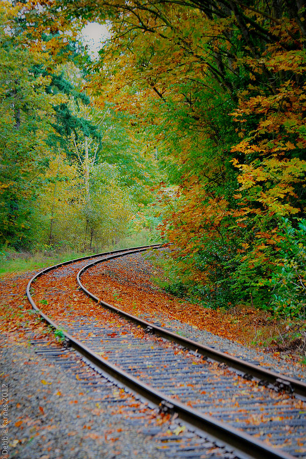 On Track for Fall Photograph by Debbie Karnes
