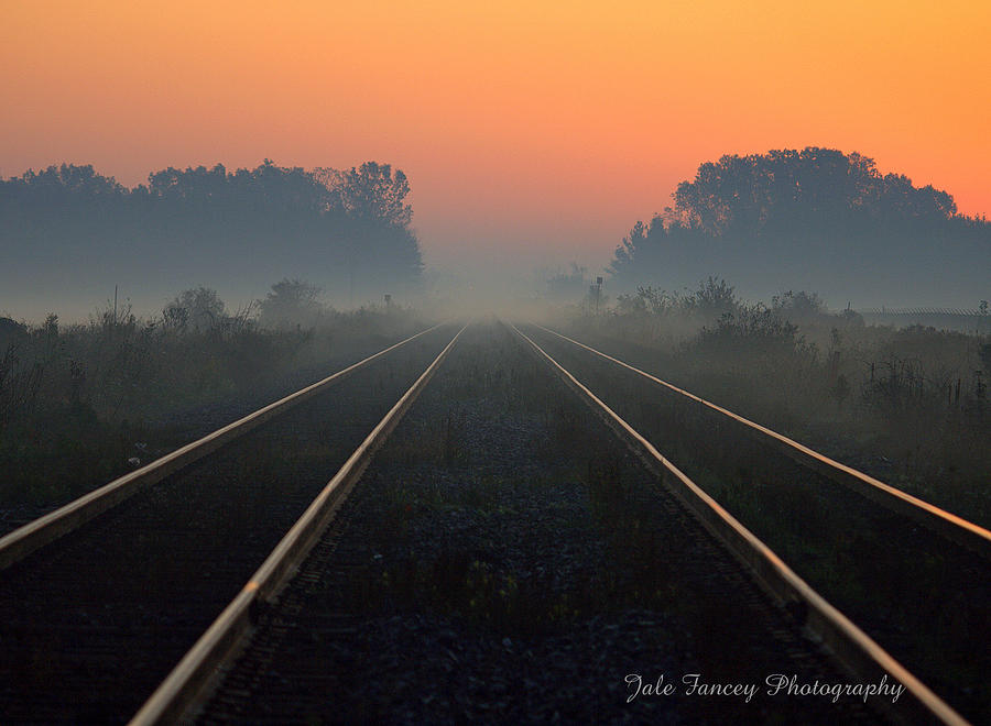 On track Photograph by Jale Fancey