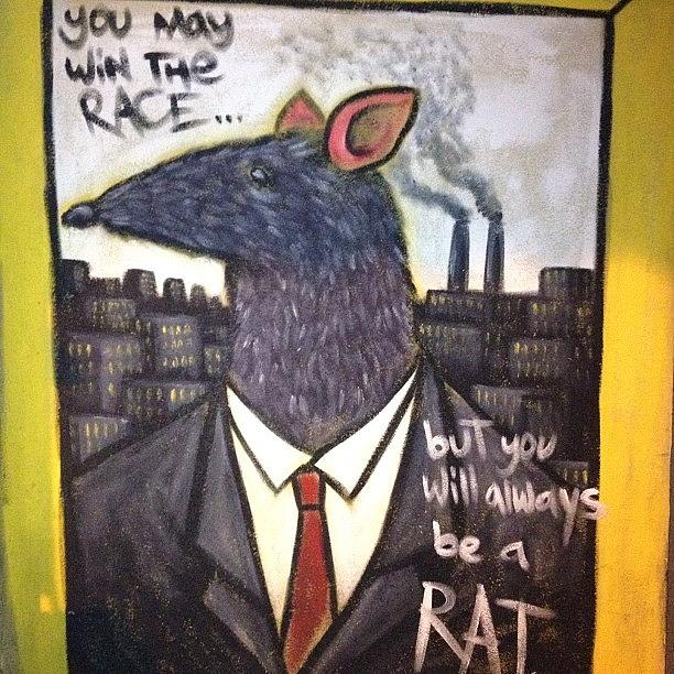 Once A Rat, Always A Rat Photograph by Hanan Marton