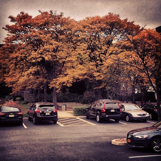 Fall Photograph - Once Again... #fall #seasonal #change by Michael Loughran