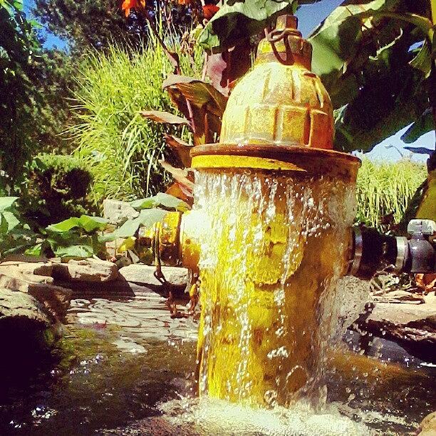 One Cool Hydrant Photograph by Jeanette Weaver - Peters