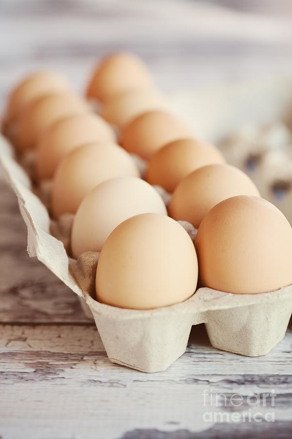Egg Photograph - One Dozen Eggs by Kim Fearheiley