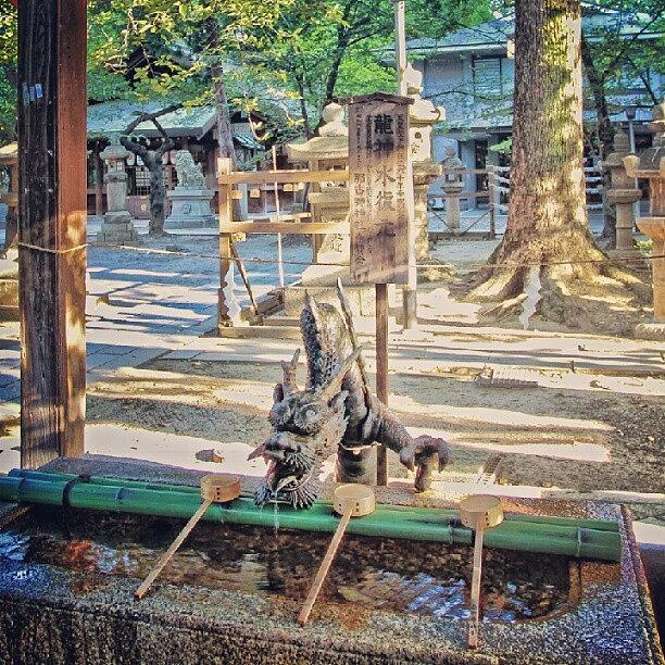 Beautiful Photograph - One Early Morning At Nagoya Shrine by Manan Din