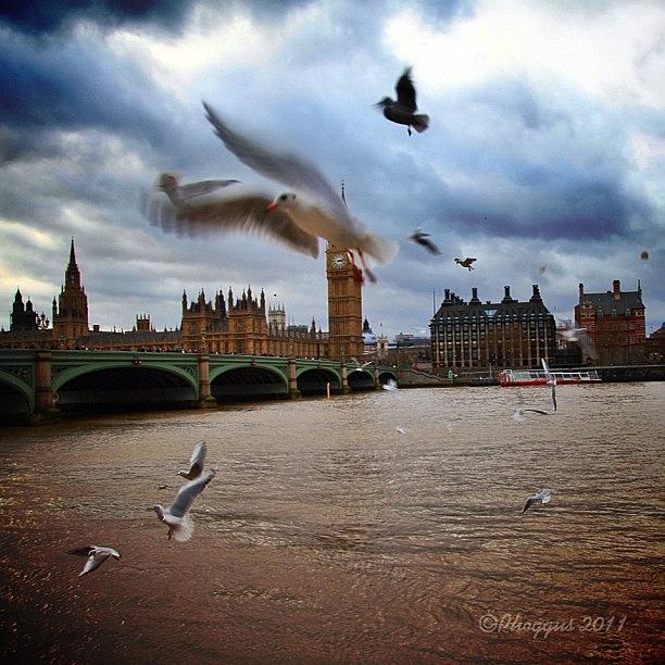 Westminster Photograph - One More From Today. Thanks To All For by Phil Martin