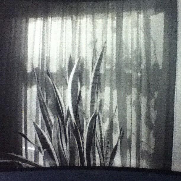 Film Photograph - One Of My Film Shots (shadows And by Hannah Karg