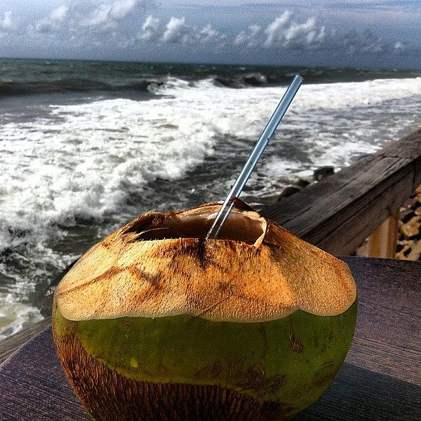 Coconut Photograph - One Of The Reasons Puerto Rico Does It by Luis Rafael