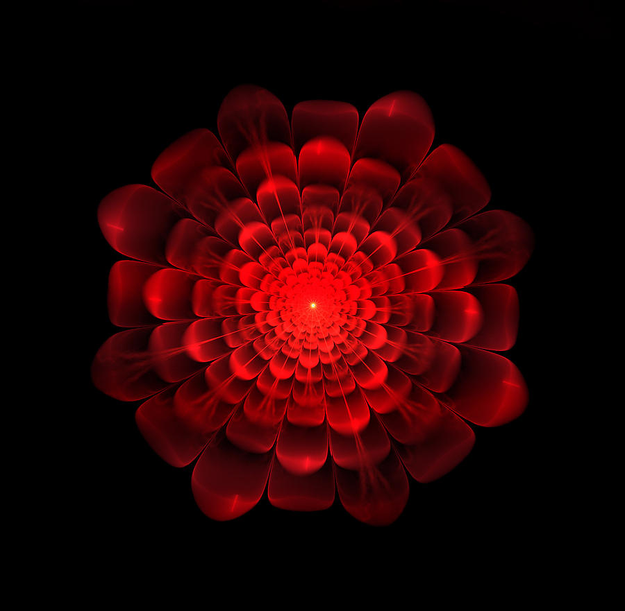 One Red Flower Digital Art by Ester McGuire