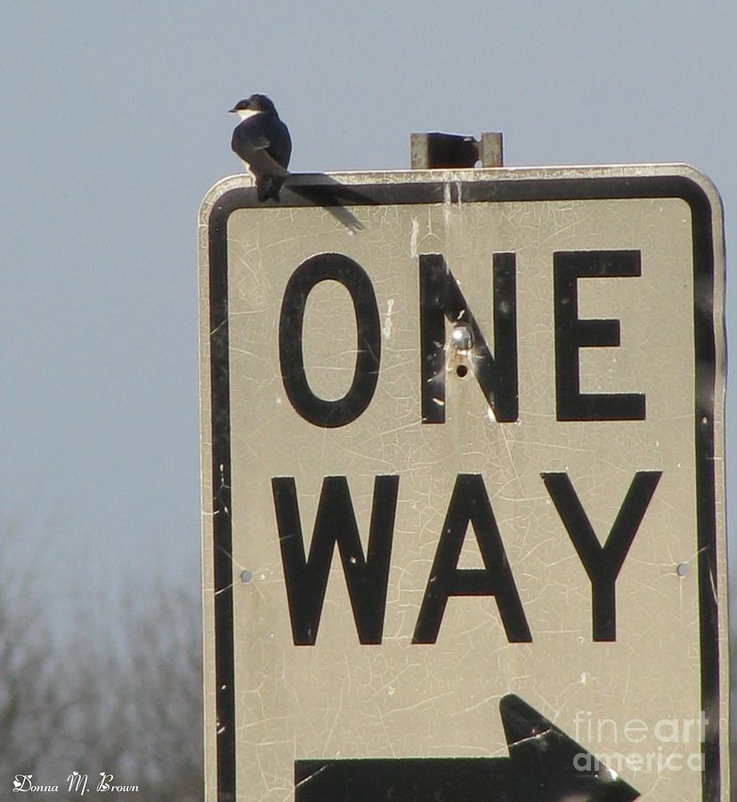 One Way Photograph