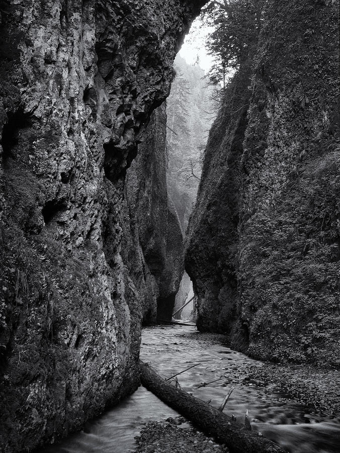 Oneonta Gorge Photograph by Jon Ares