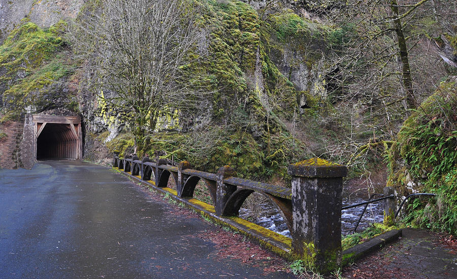 Oneonta Gorge Tunnel Photograph by Danielle Del Prado